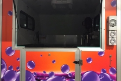 dogwash3