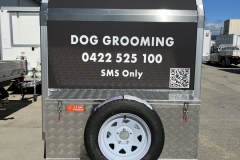 TinaTheTANGLE-TAMERlr-2