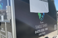 TinaTheTANGLE-TAMERlr-3