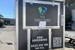 TinaTheTANGLE-TAMERlr-4