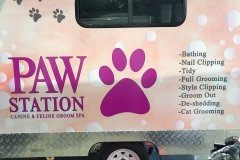 Dogwashtrailer-progress1