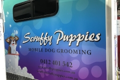 Scruffy-Puppies-2