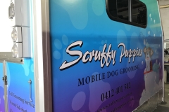 Scruffy-Puppies-3