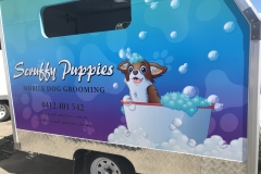 dogwash3