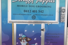 dogwash4