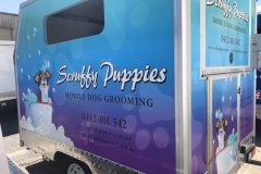 dogwash5