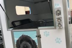 DogTrailer4-1